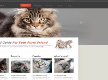 Шаблон адаптивного  Cat  
