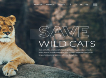 WildLife - Многостраничный креативный HTML-шаблон сайта Wild Life  