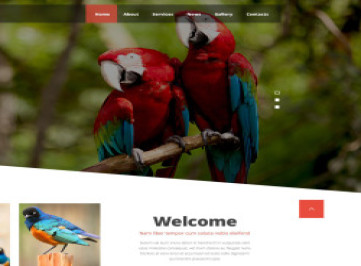 Шаблон сайта Exotic Birds  