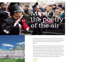 Шаблон  Racoons  