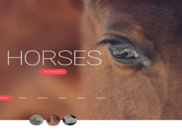 Лошади -  HTML-шаблон для лошадей  