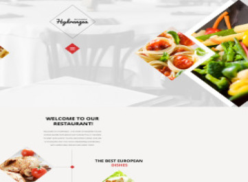 Шаблон сайта гортензии  