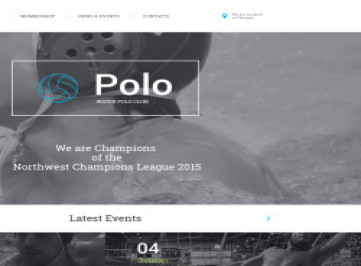 Шаблон сайта Polo  