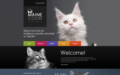 Шаблон Шаблон адаптивного  Cat  