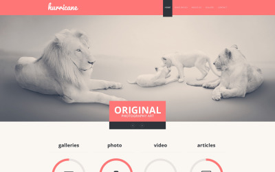 Шаблон Шаблон сайта портфолио фотографа  