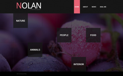Шаблон Шаблон сайта портфолио фотографа  