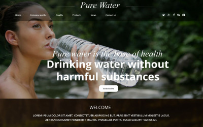 Шаблон Шаблон сайта Pure Water  
