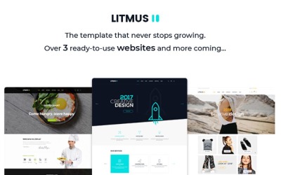 Шаблон Litmus - креативный многоцелевой шаблон веб-  